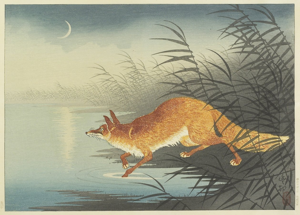 Zorro junto al agua iluminada por la luna, años 1930 de Ohara Koson