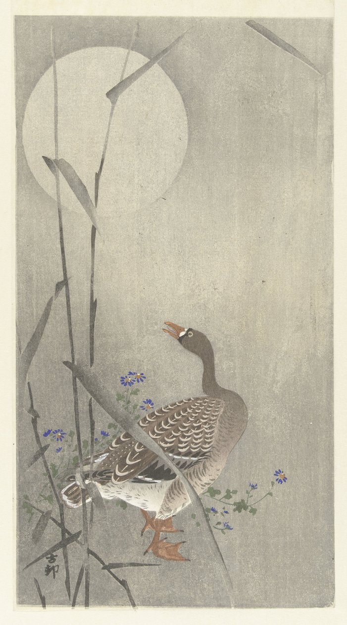 Ganso en luna llena de Ohara Koson