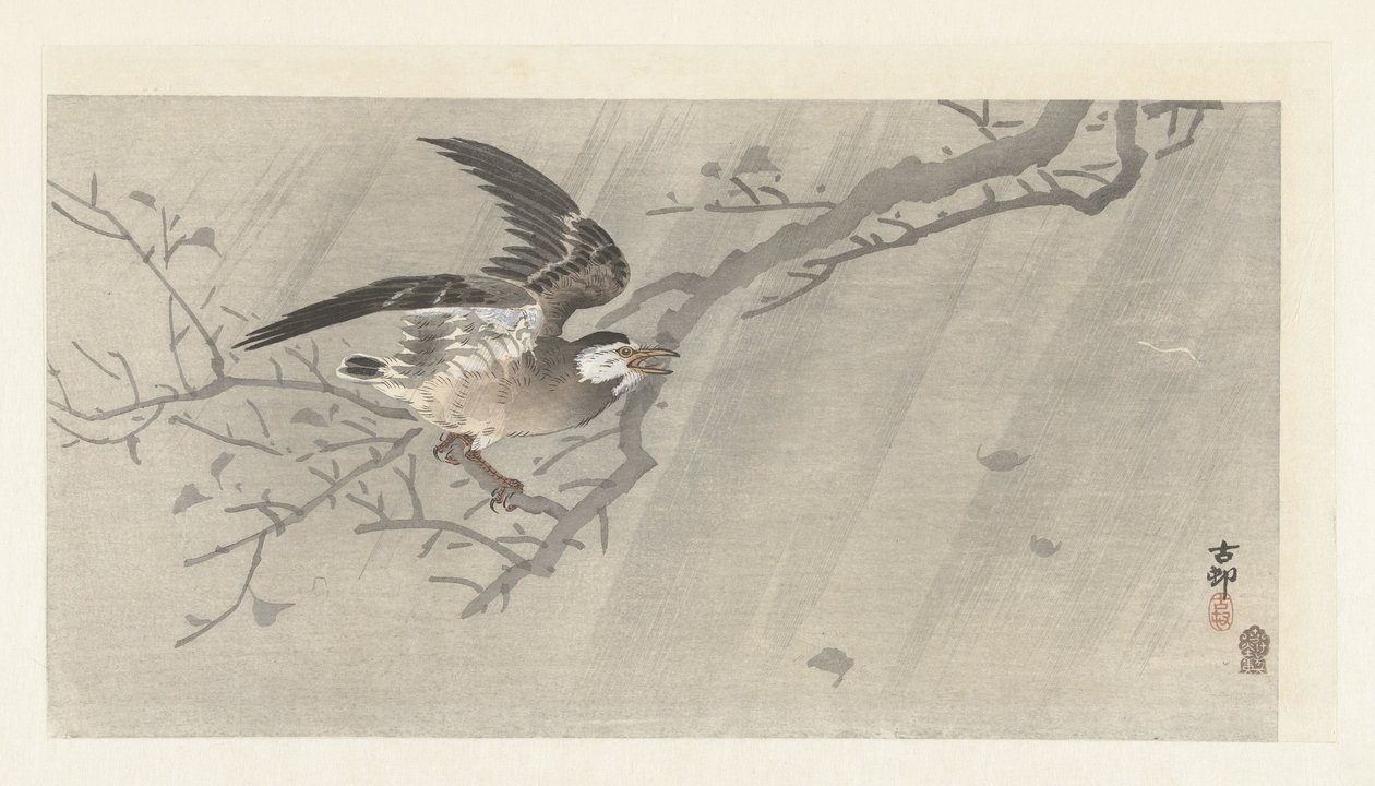 Estornino gris en tormenta de Ohara Koson