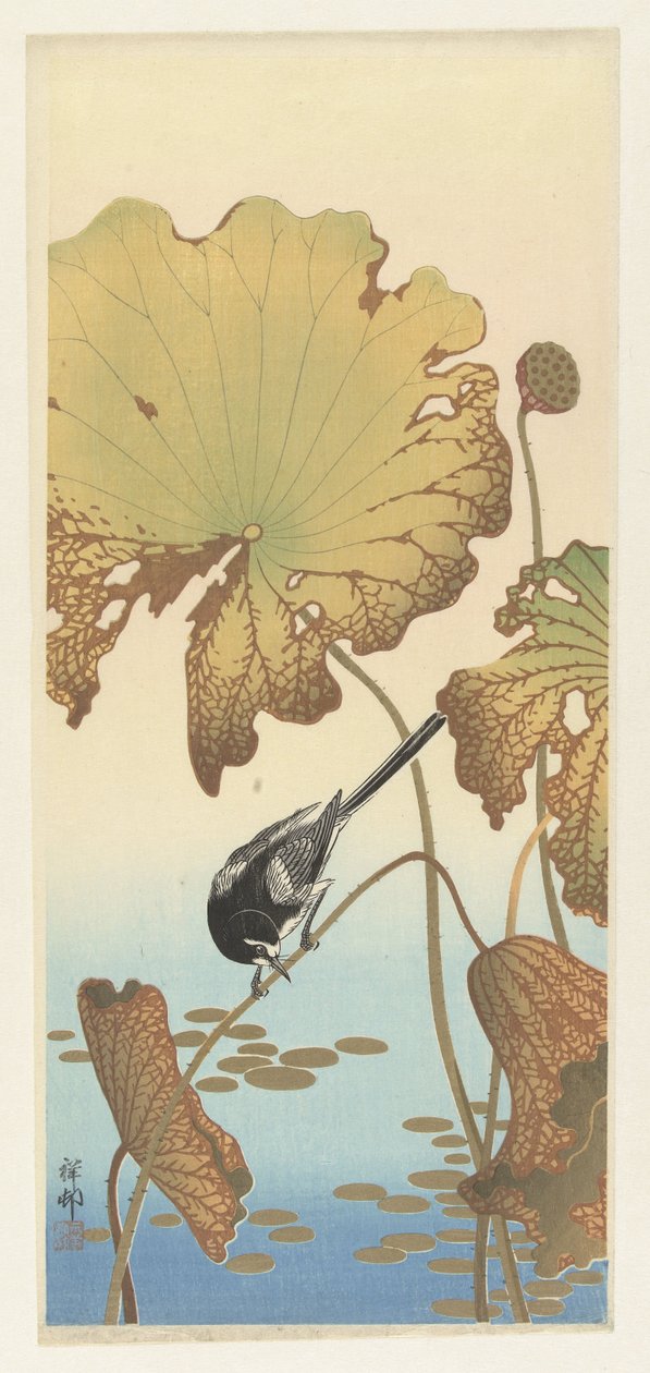 Lavandera japonesa en la planta de loto de Ohara Koson