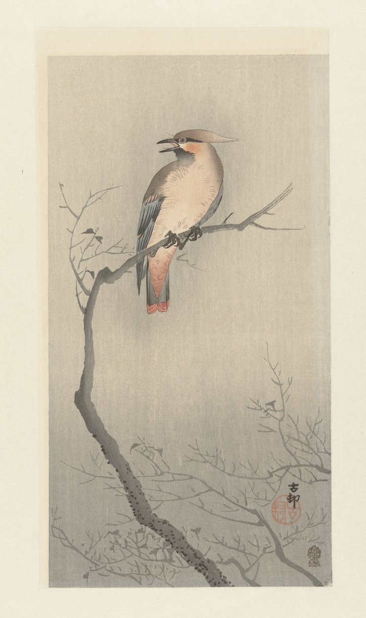 Waxwing japonés en rama de Ohara Koson