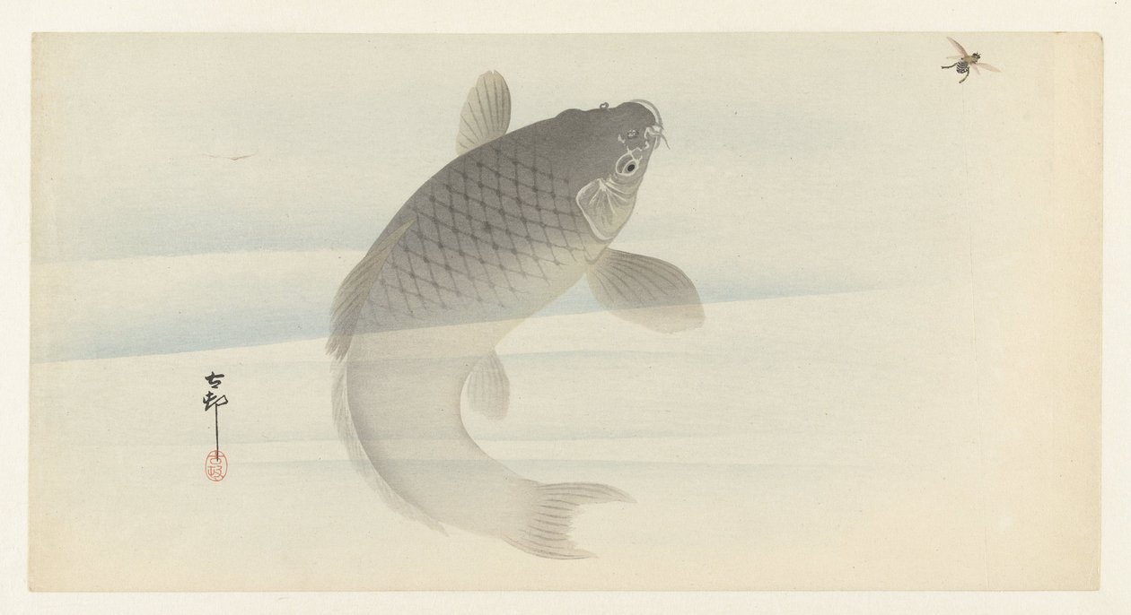 carpa y mosca de Ohara Koson