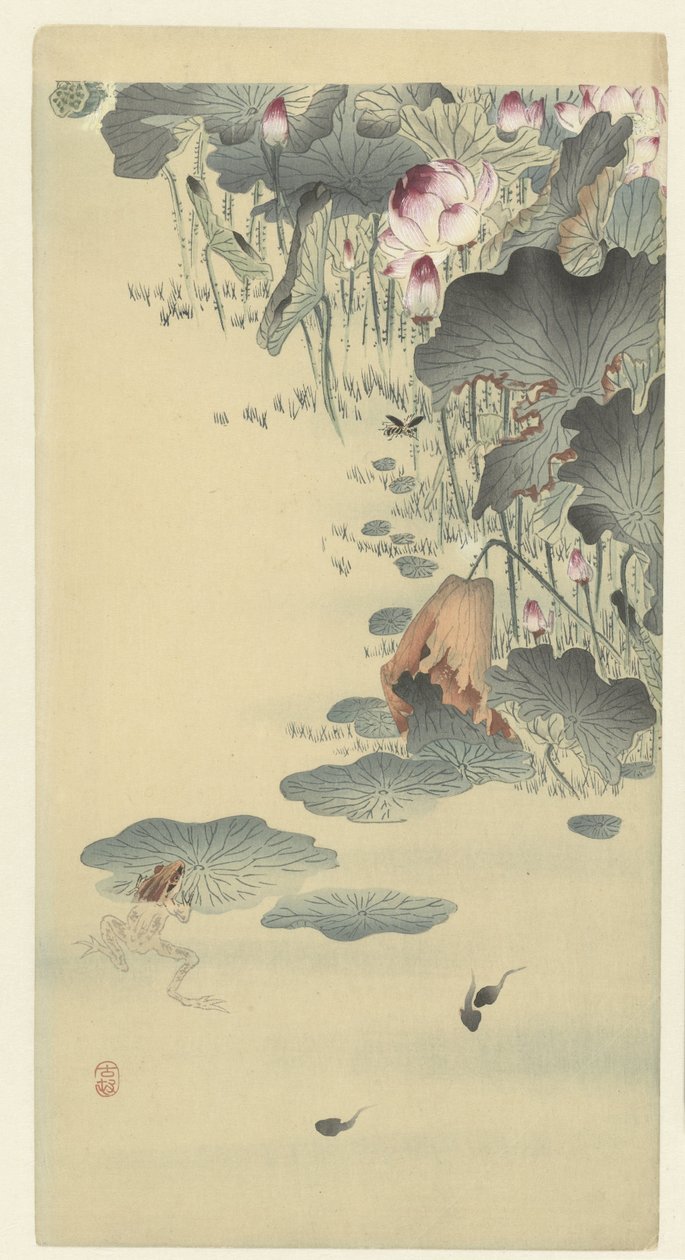 Rana y renacuajos de Ohara Koson