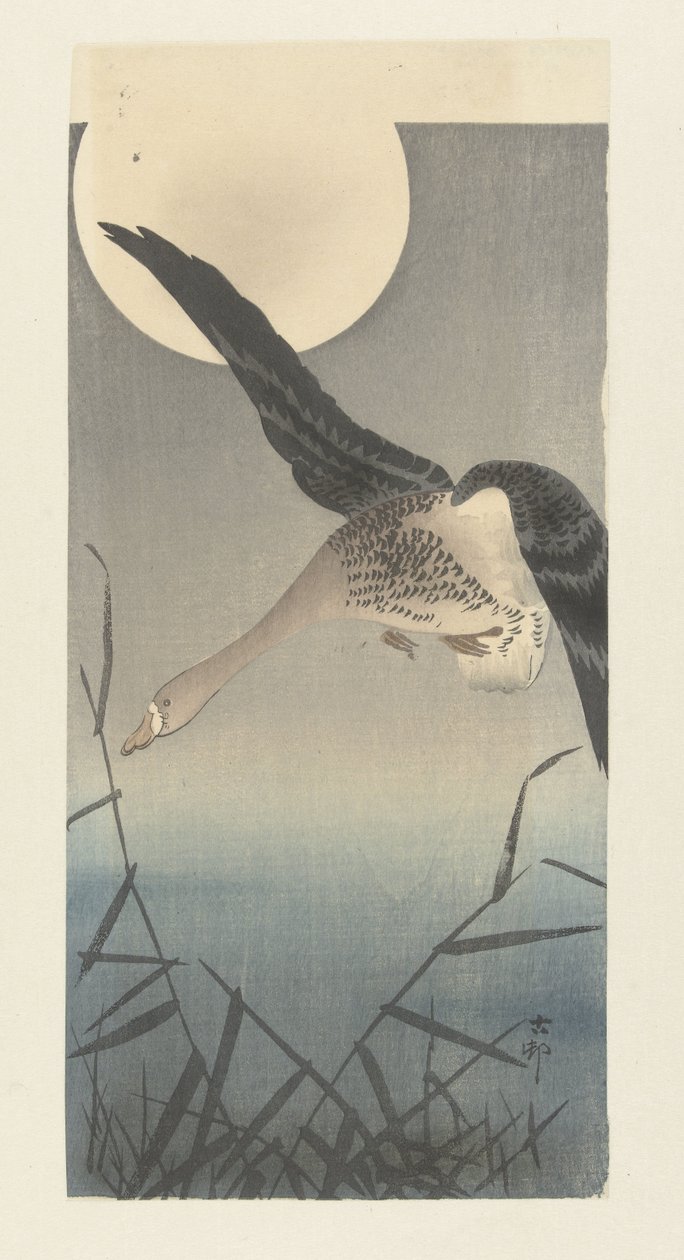 Ganso de frente blanca en luna llena de Ohara Koson