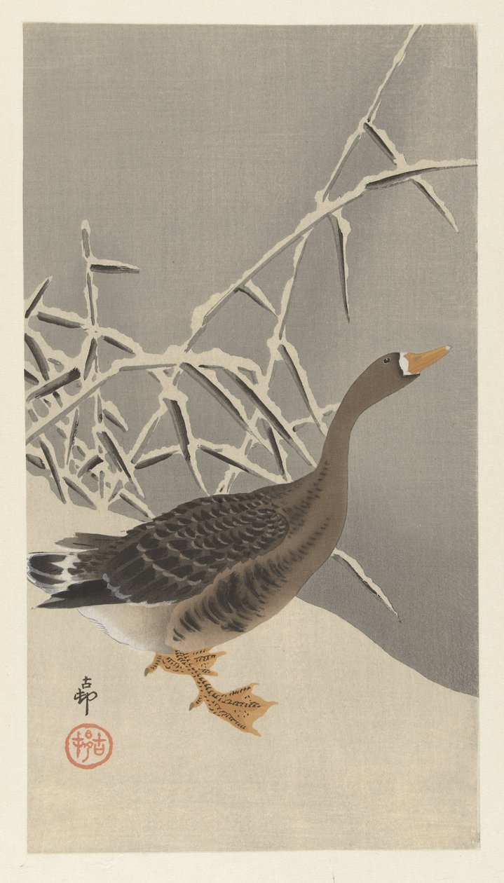 Ganso de frente blanca en la nieve de Ohara Koson