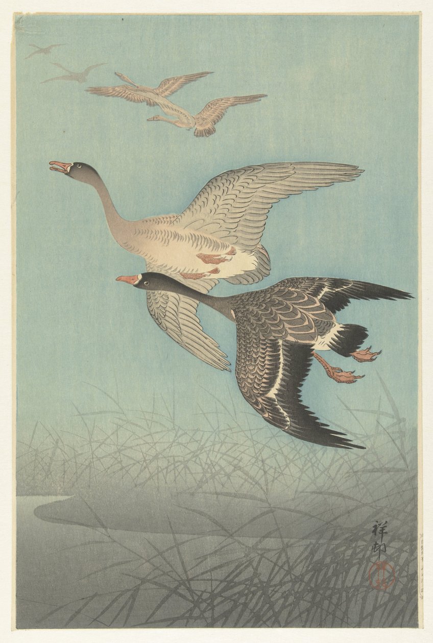 Gansos de frente blanca en vuelo de Ohara Koson