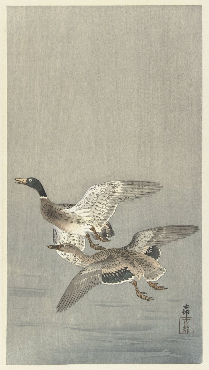 pareja de patos de Ohara Koson