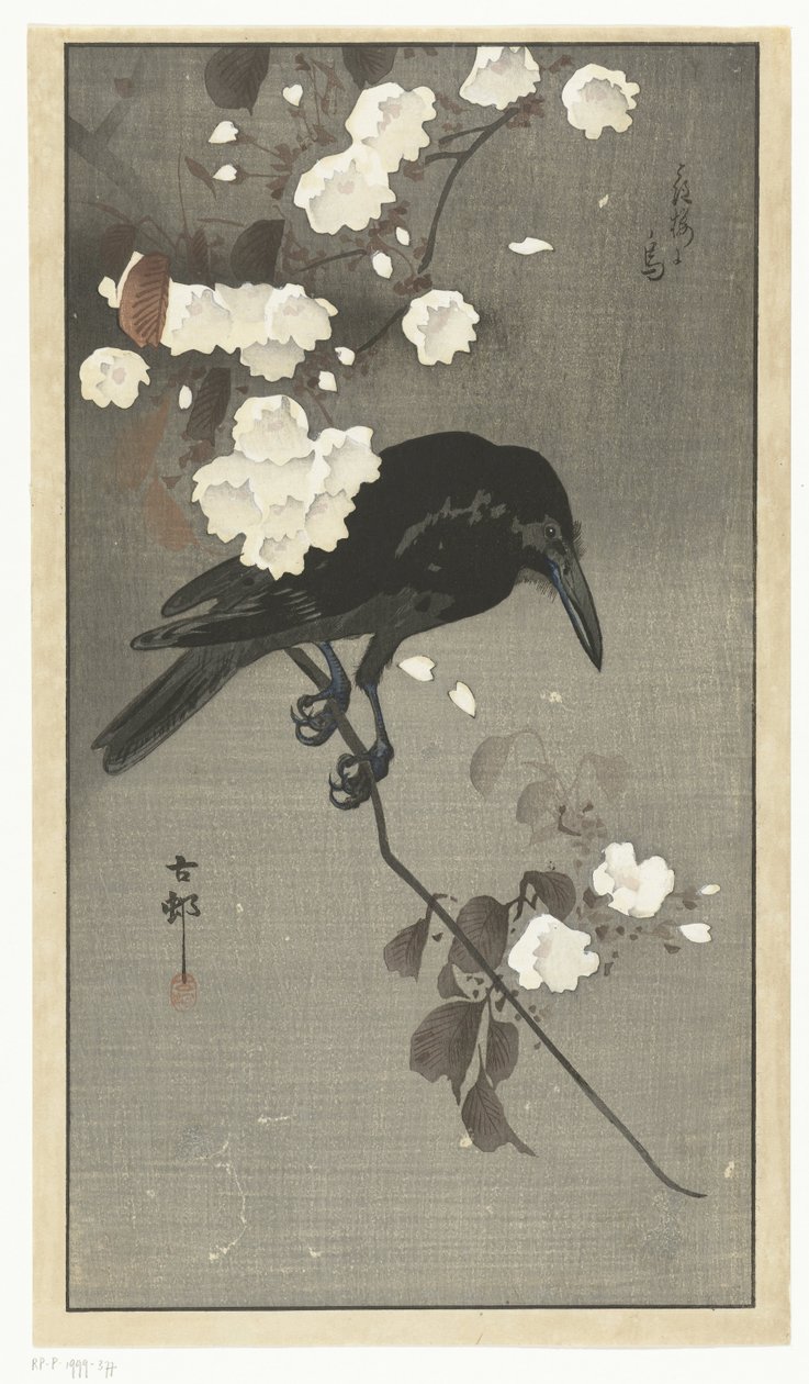 Cuervo con flor de cerezo Hana sakura no tori (título sobre objeto) de Ohara Koson