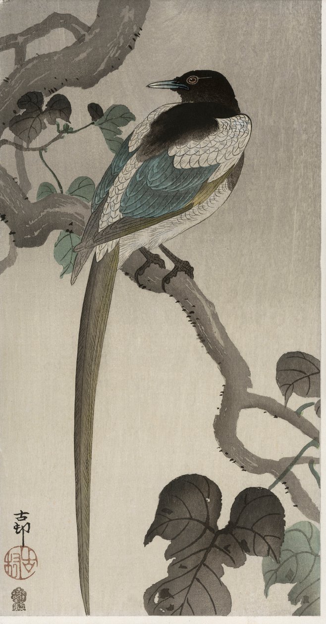 Urraca en una rama de Pauwlonia de Ohara Koson