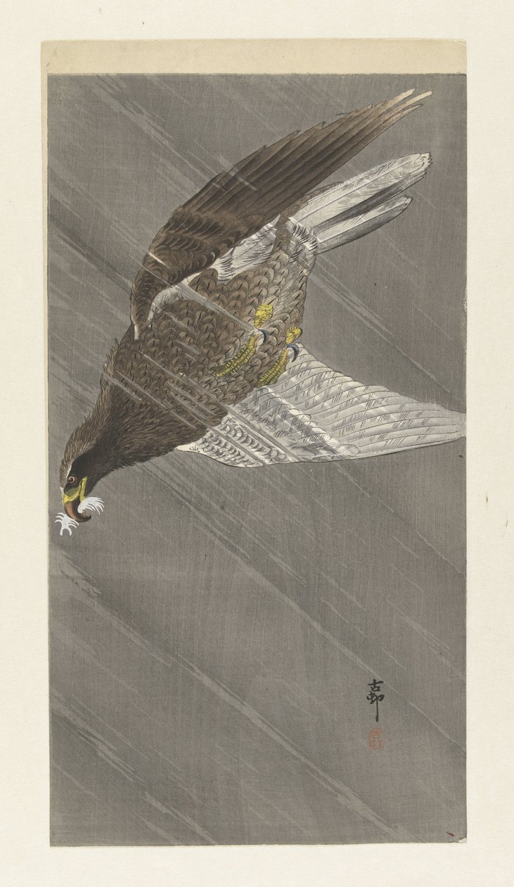 Águila voladora hacia abajo de Ohara Koson