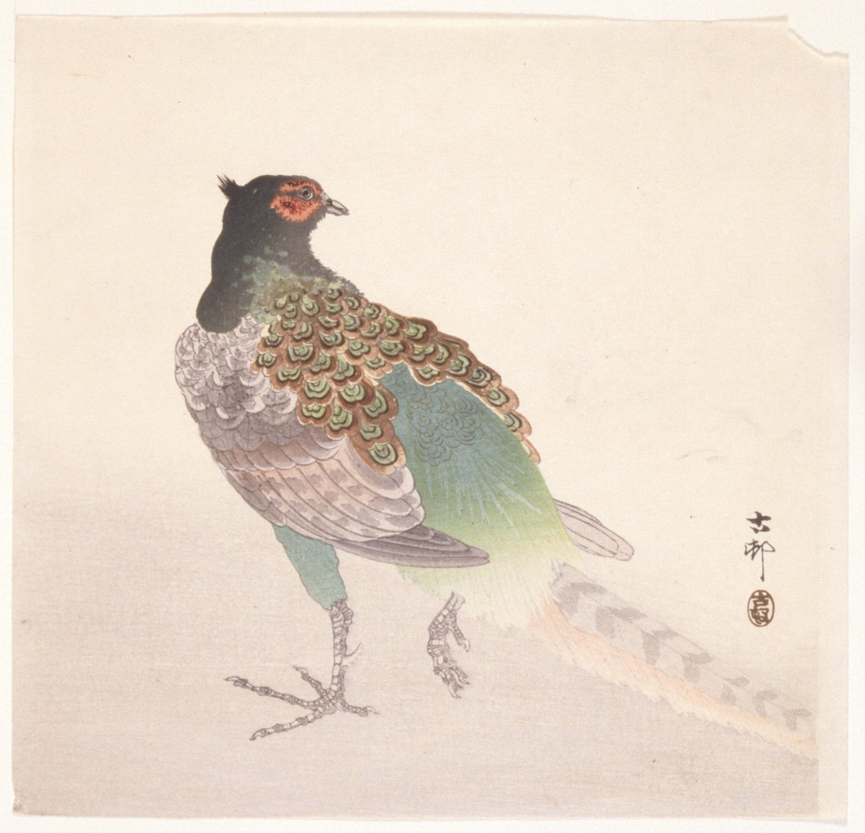 Faisán (xilografía en color) de Ohara Koson