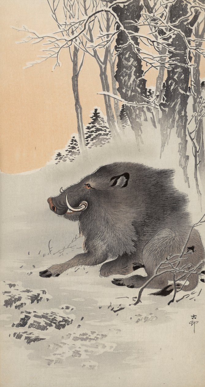 Jabalí reclinado en un paisaje cubierto de nieve de Ohara Koson