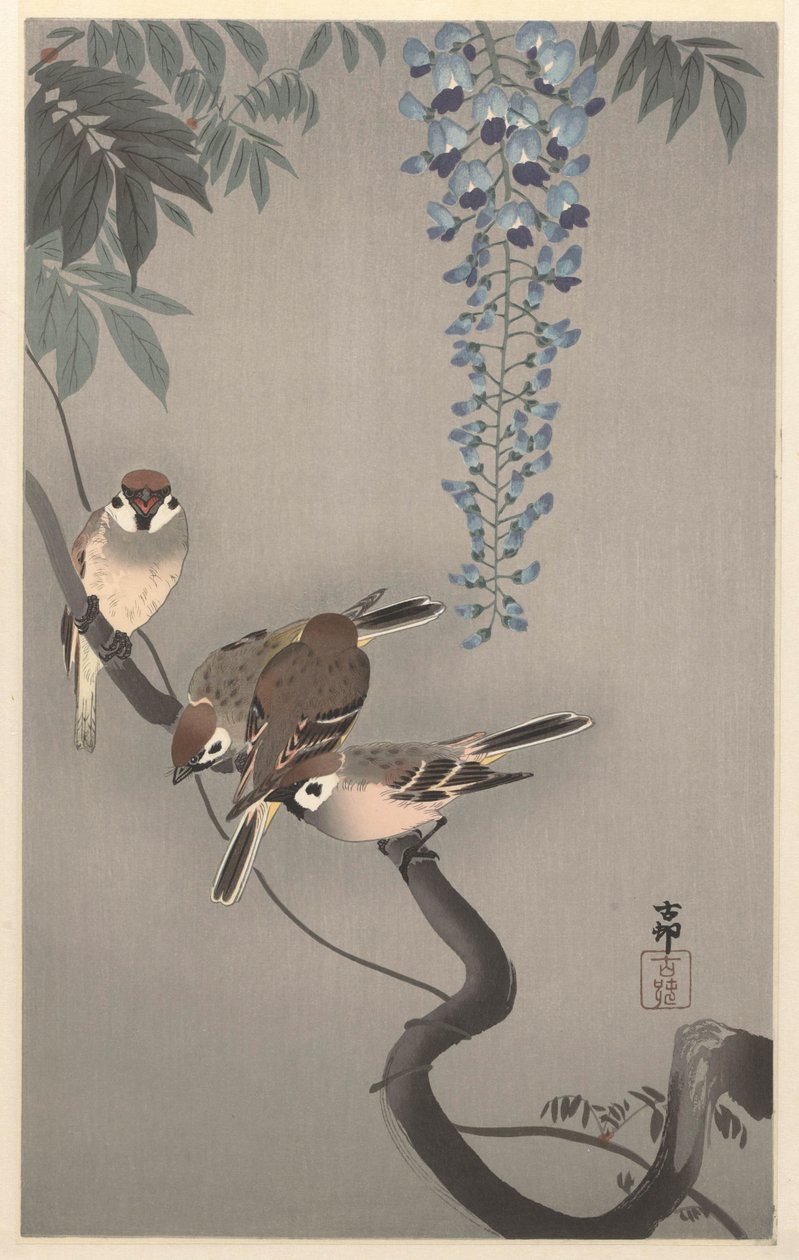 Gorriones de anillo en glicinas de Ohara Koson