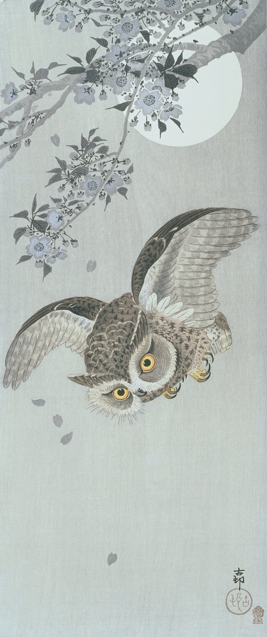 Búho en vuelo con flores y luna llena de Ohara Koson
