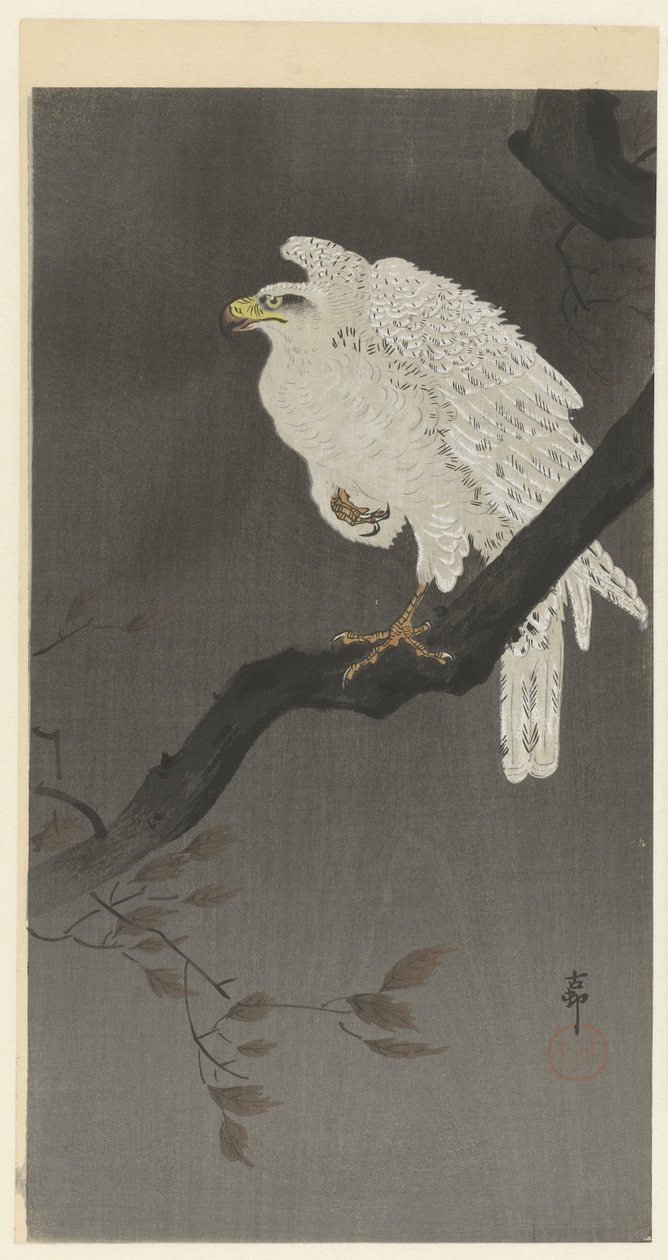Águila nival en una rama de Ohara Koson