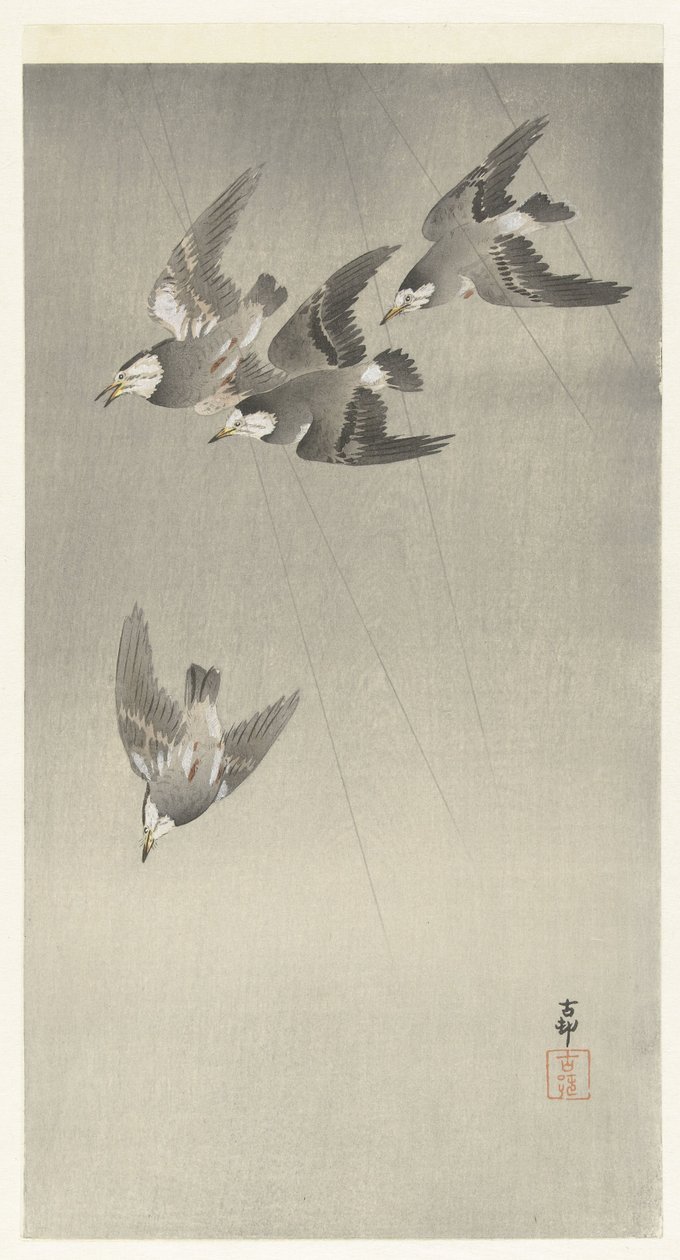 Estornino bajo la lluvia de Ohara Koson