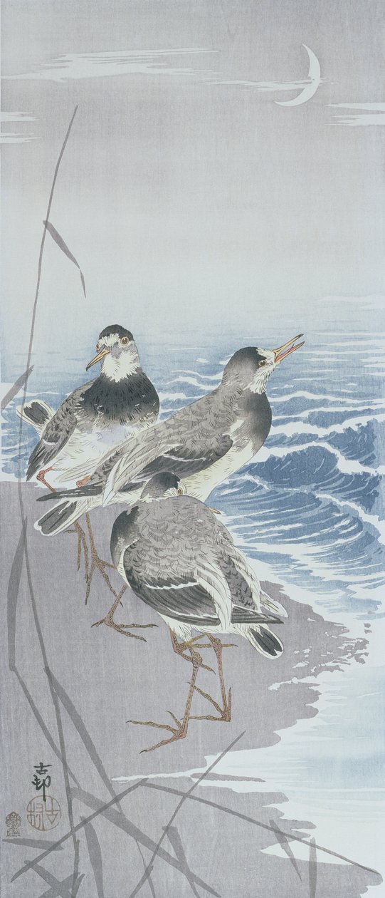 Tres correlimos en la orilla frente a los juncos de Ohara Koson