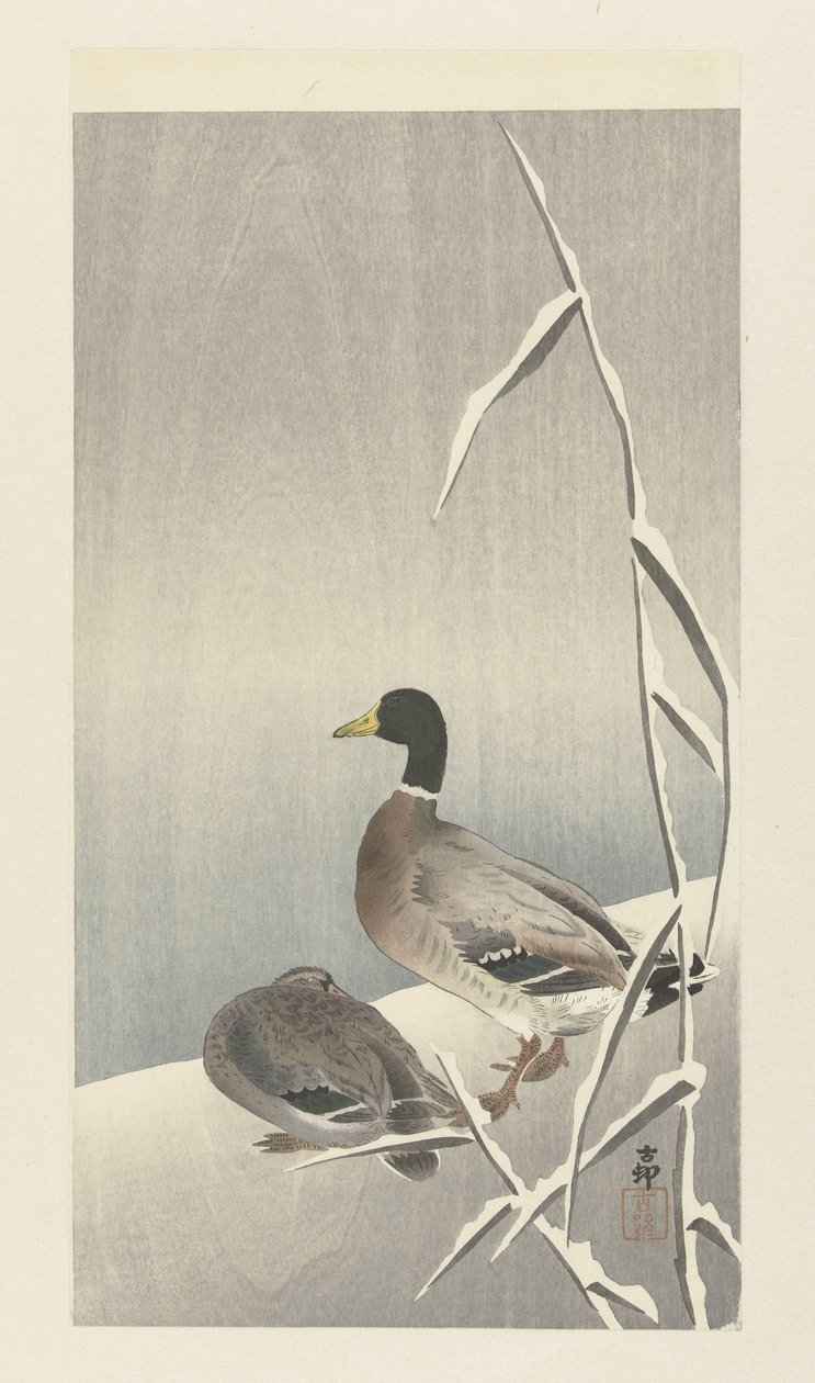 Dos patos en juncos nevados de Ohara Koson