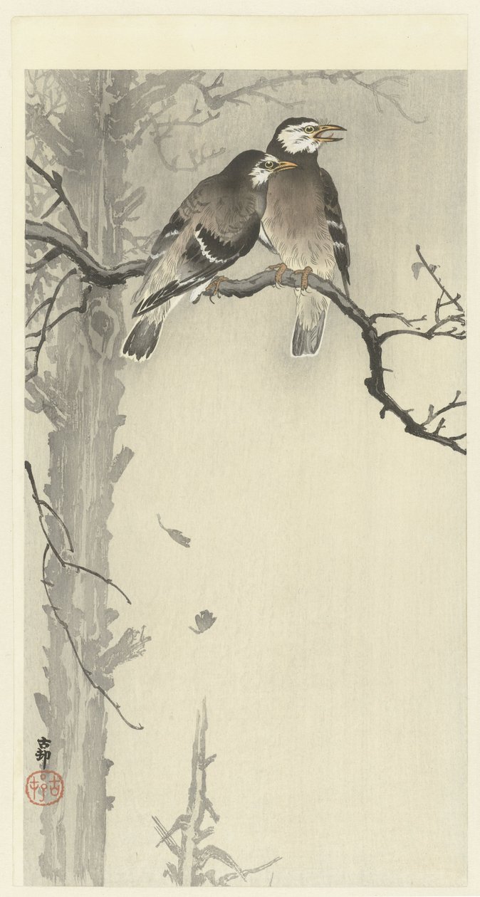 Dos estorninos grises de Ohara Koson