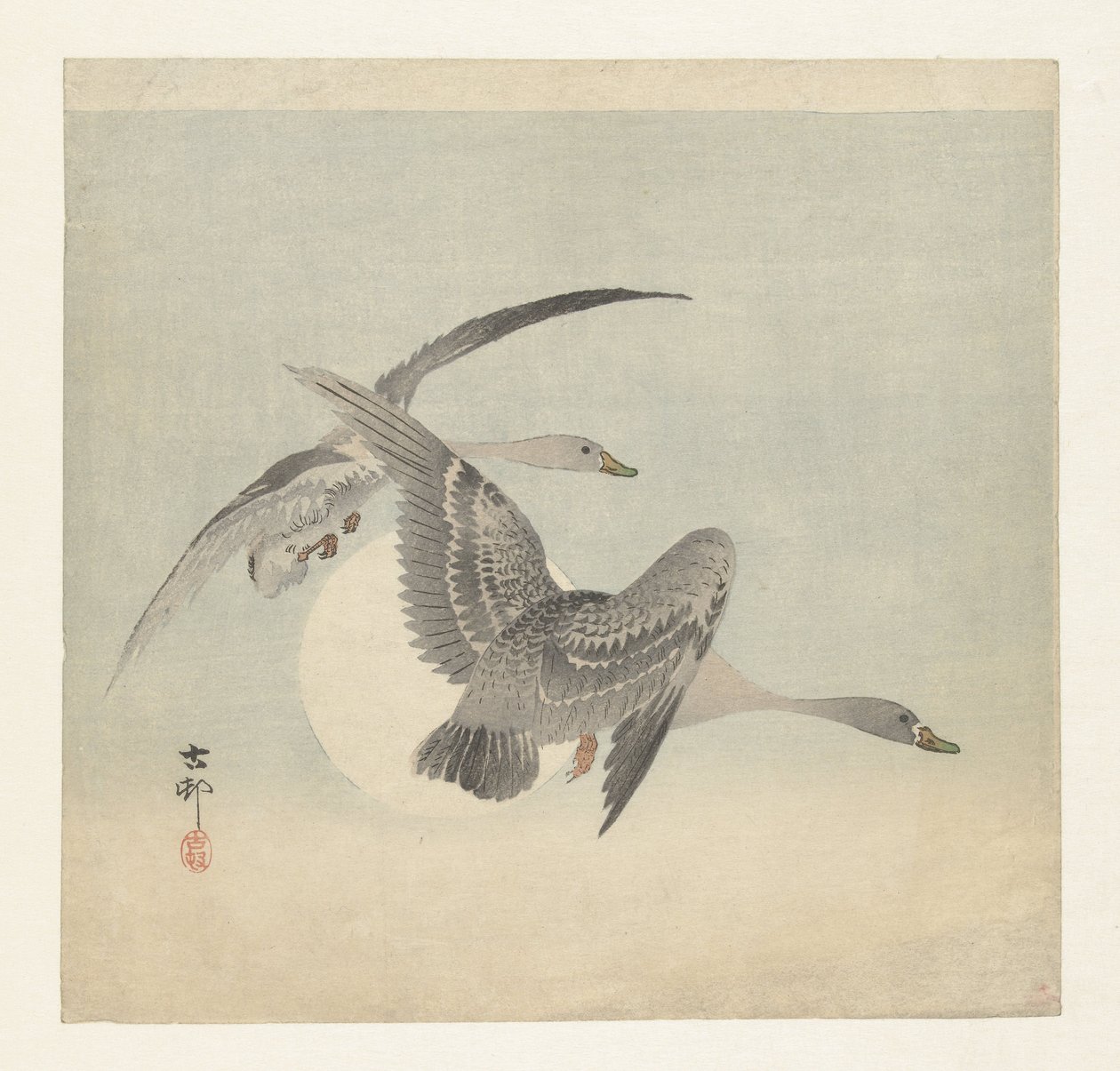 Dos gansos de frente blanca en vuelo de Ohara Koson