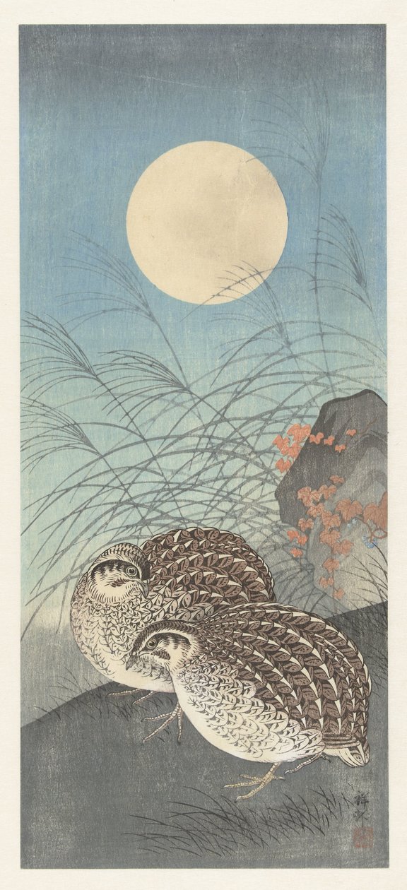 Dos codornices en luna llena. de Ohara Koson