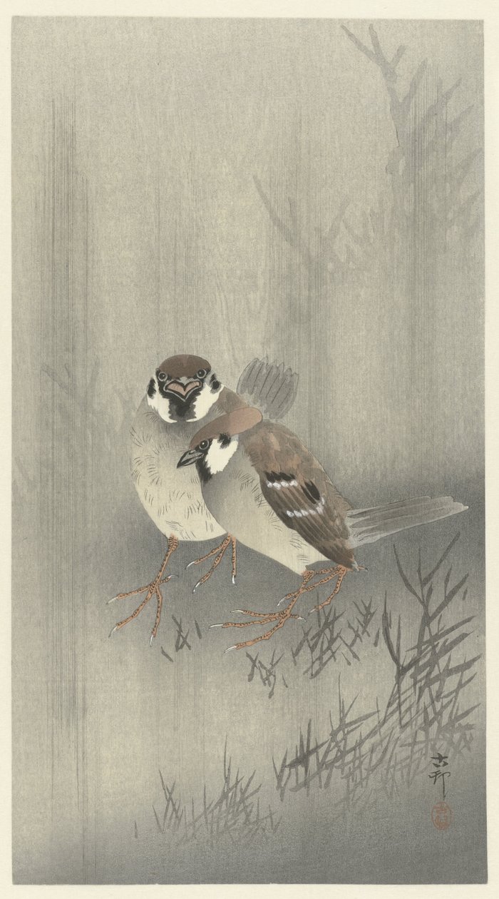 Dos gorriones de anillo bajo la lluvia de Ohara Koson