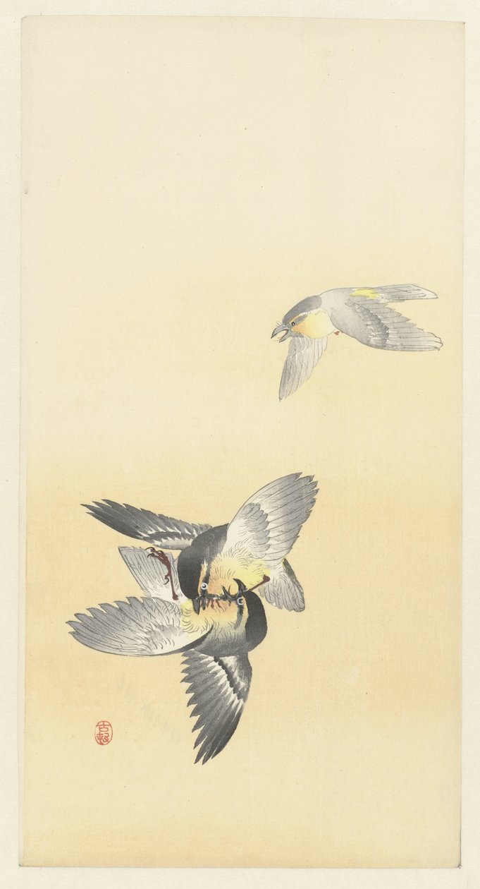 Dos pájaros de pelea de Ohara Koson