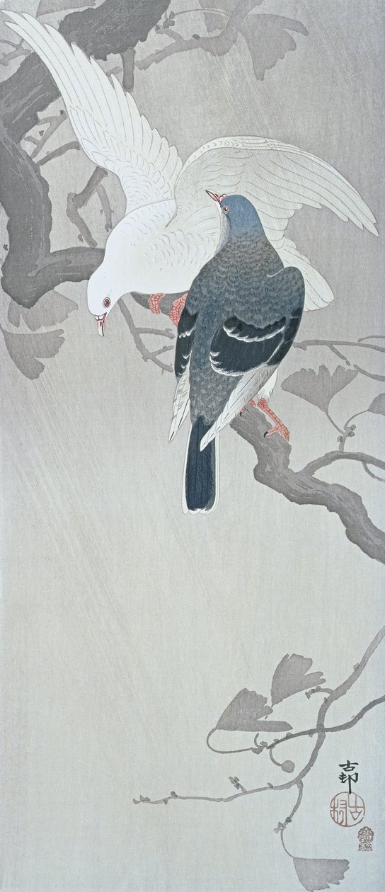 Dos palomas en la lluvia en una rama de un árbol de Ginkgo de Ohara Koson
