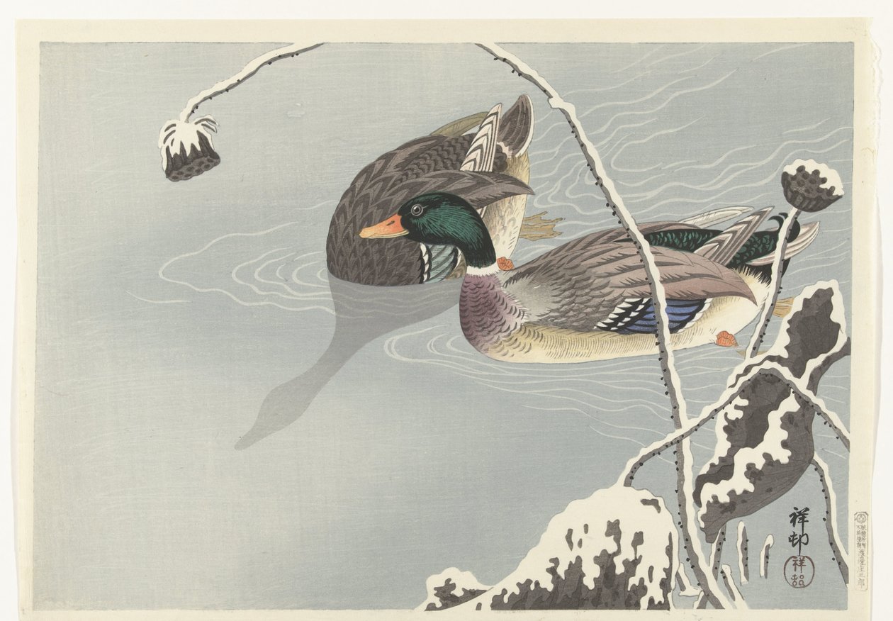 Dos patos silvestres cerca de un loto cubierto de nieve de Ohara Koson