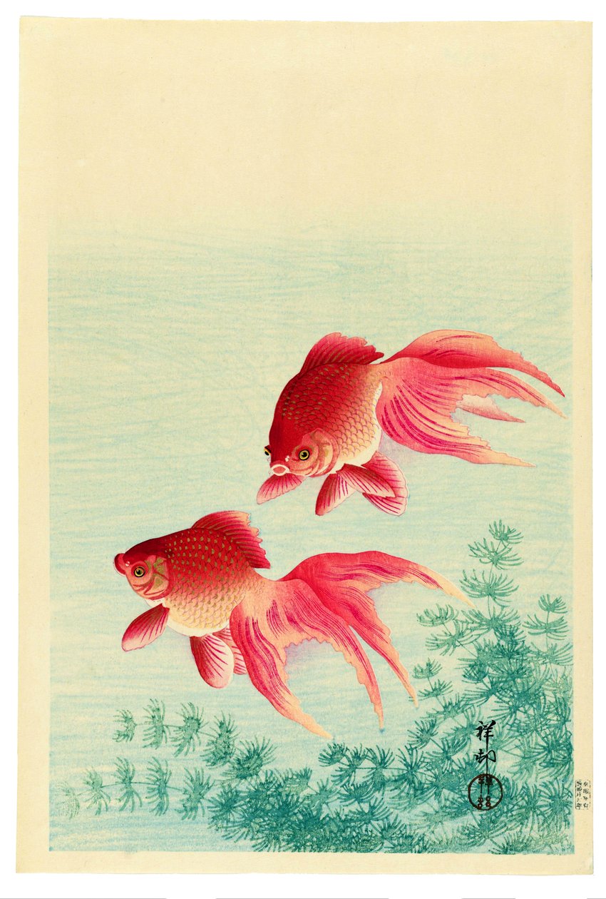 Dos peces dorados de cola velada de Ohara Koson