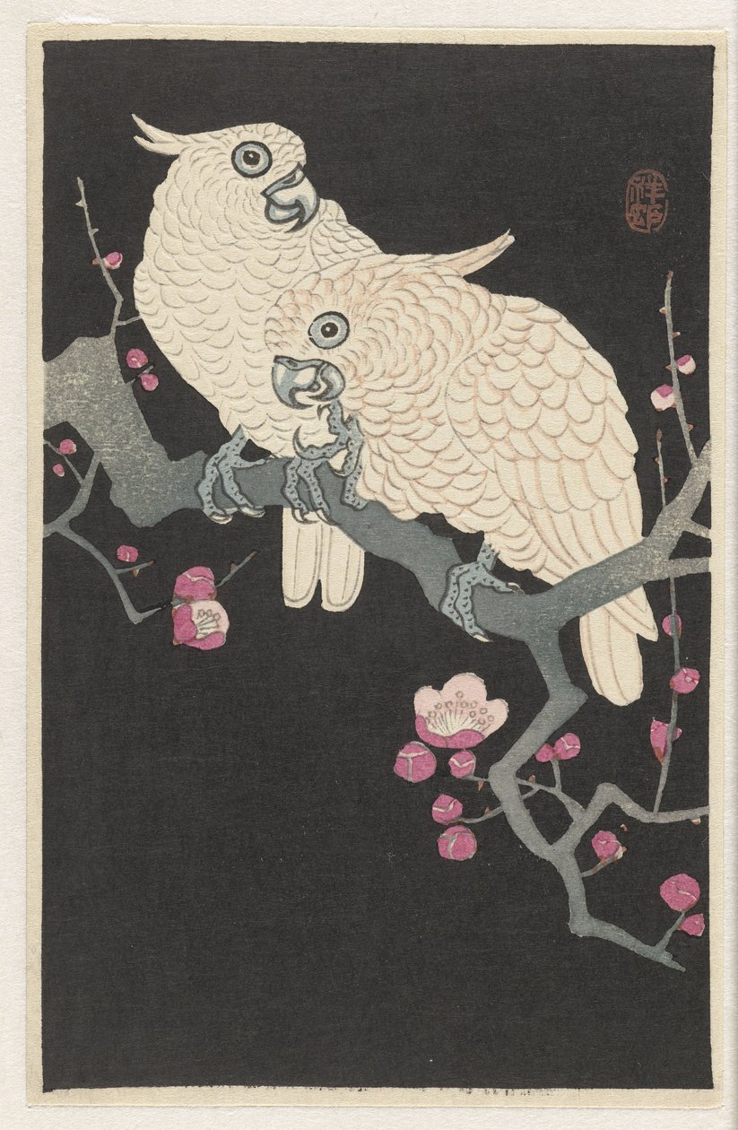 Dos cacatúas y una flor de ciruelo de Ohara Koson