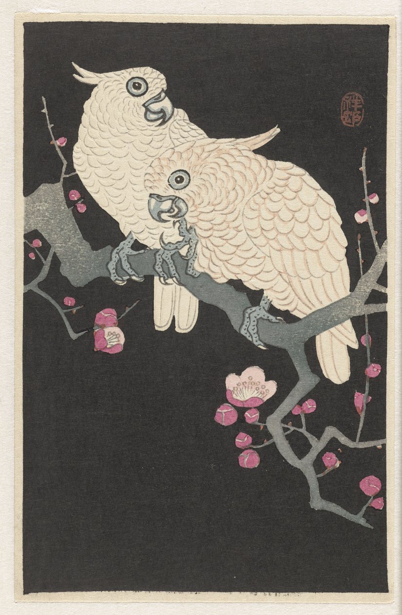 Dos cacatúas y un ciruelo en flor de Ohara Koson