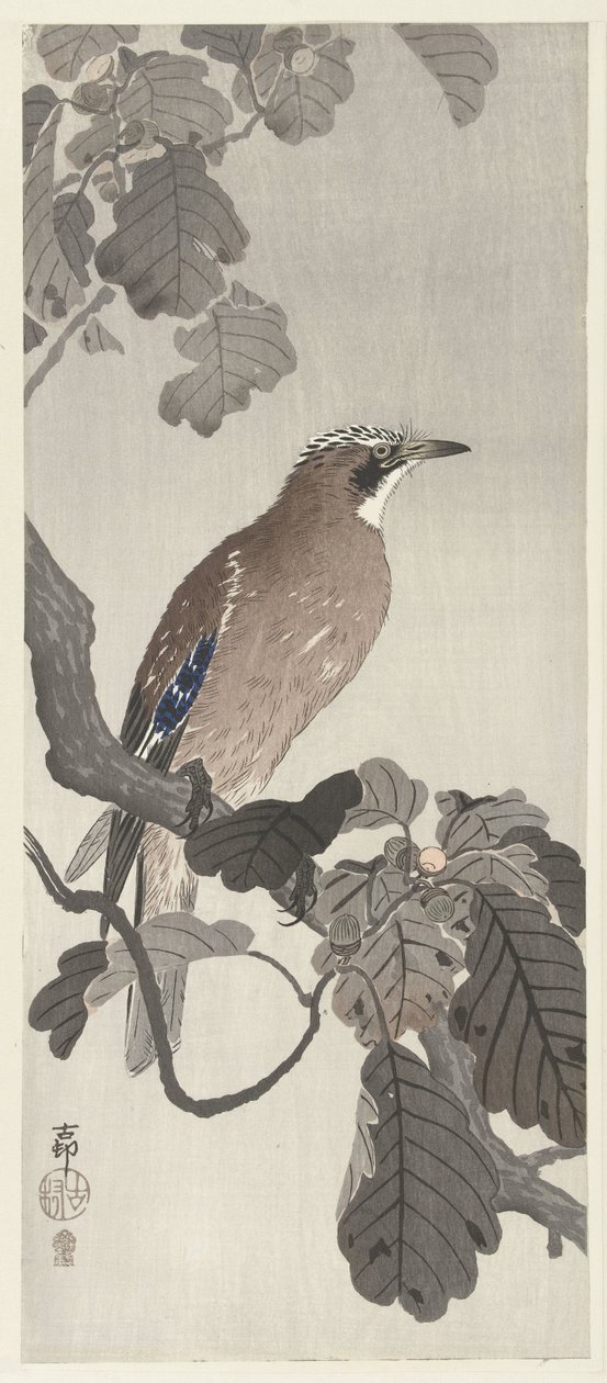 Arrendajo flamenco en la rama de un árbol de Ohara Koson