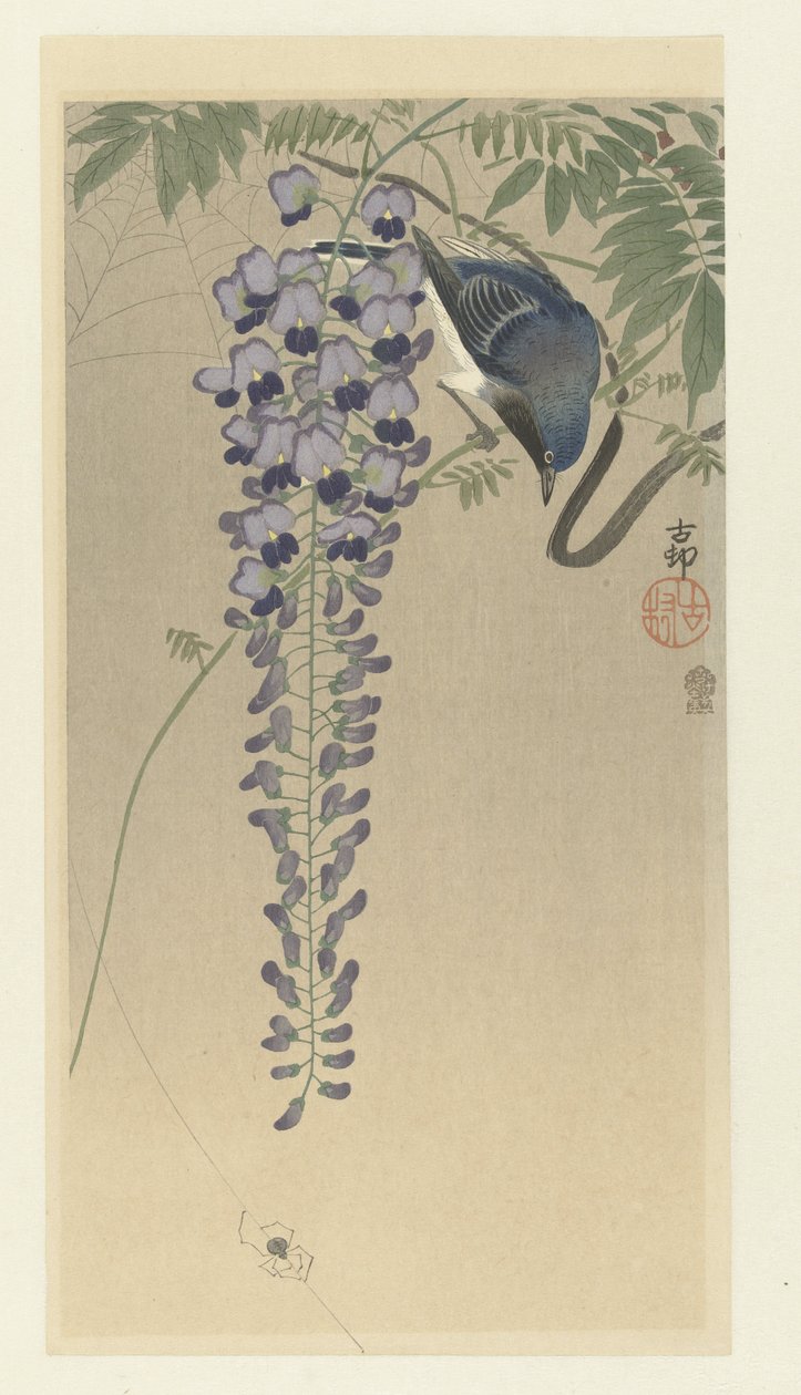 Papamoscas en glicinas de Ohara Koson