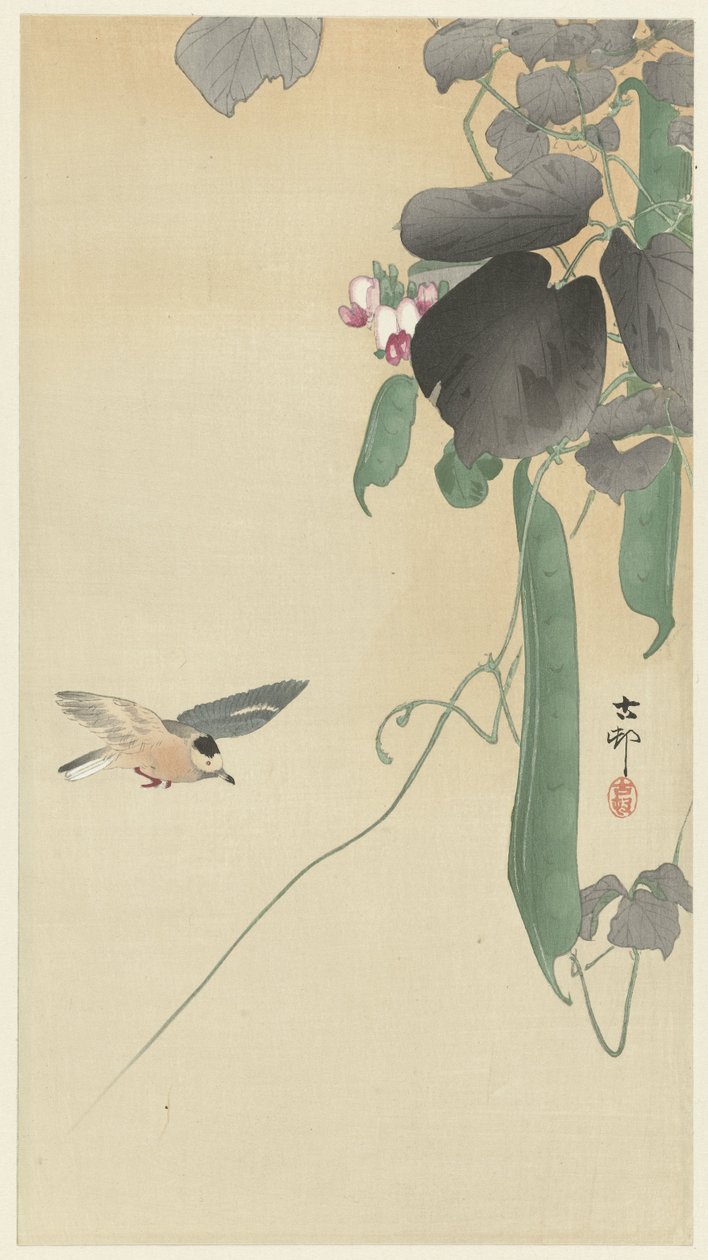 Pájaro en la planta de frijol floreciente de Ohara Koson