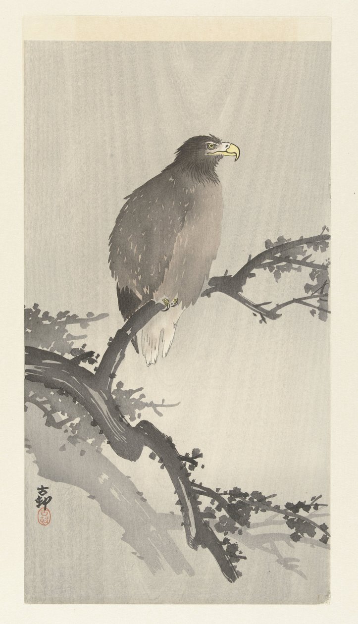 Águila calva en rama de Ohara Koson