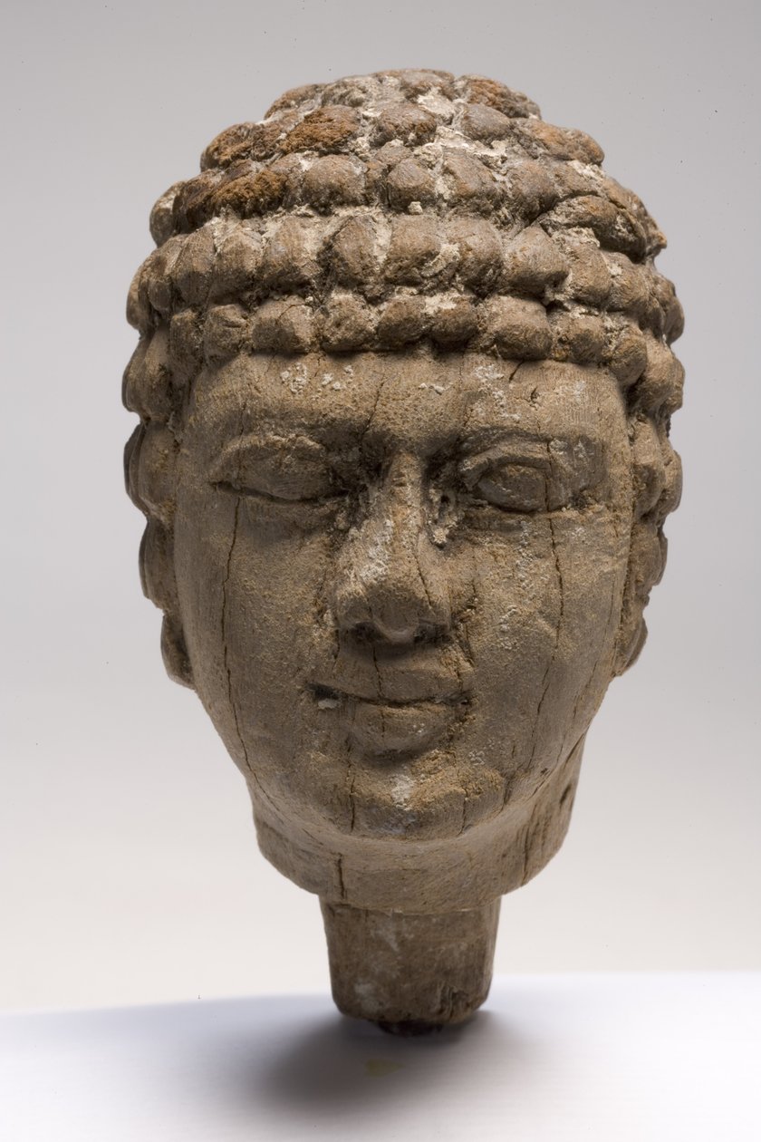Cabeza de un hombre (madera) de Old Kingdom Egyptian
