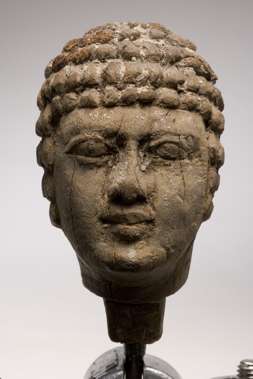 Cabeza de un hombre (madera) de Old Kingdom Egyptian