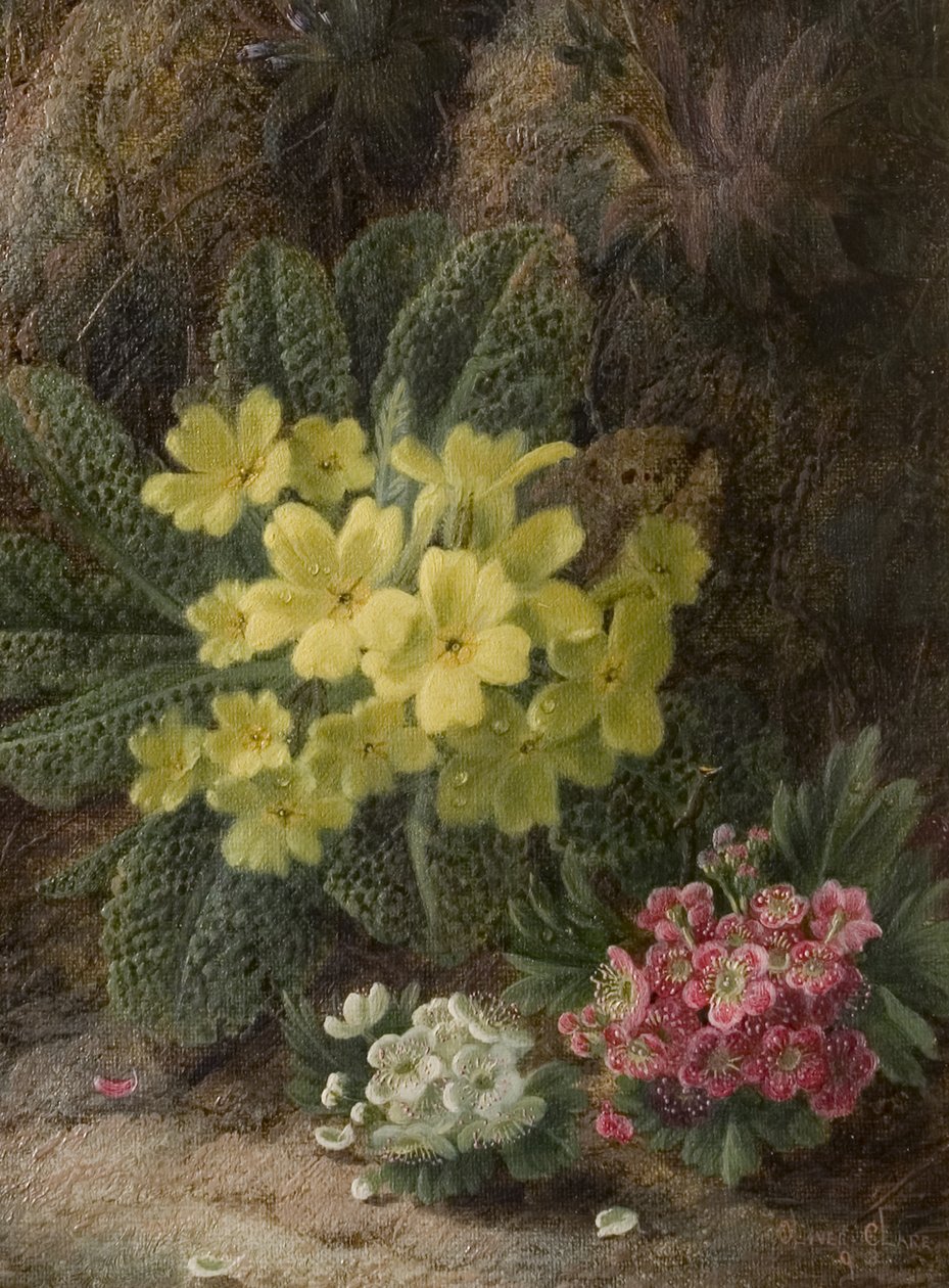 Primaveras, 1893 de Oliver Clare
