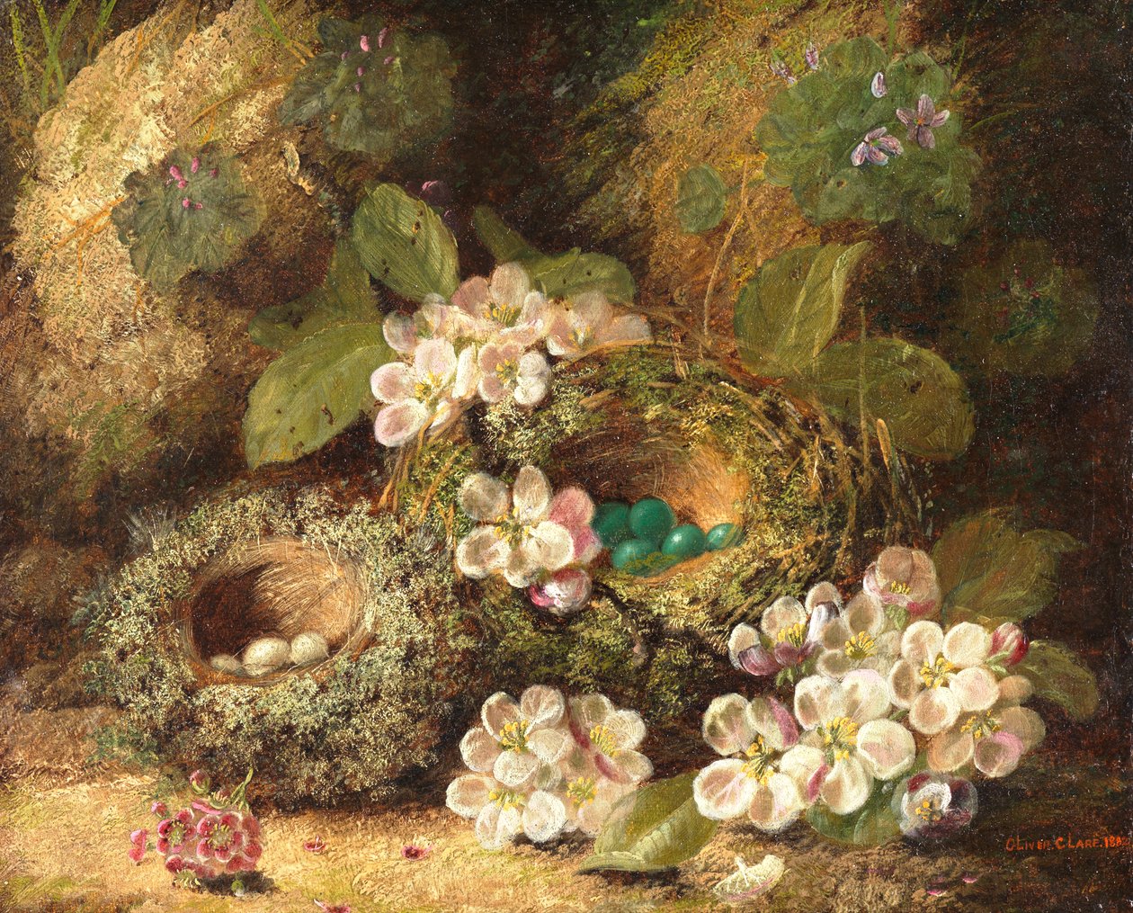 Primaveras y Nidos de Pájaros en un Banco Musgoso, 1882 de Oliver Clare