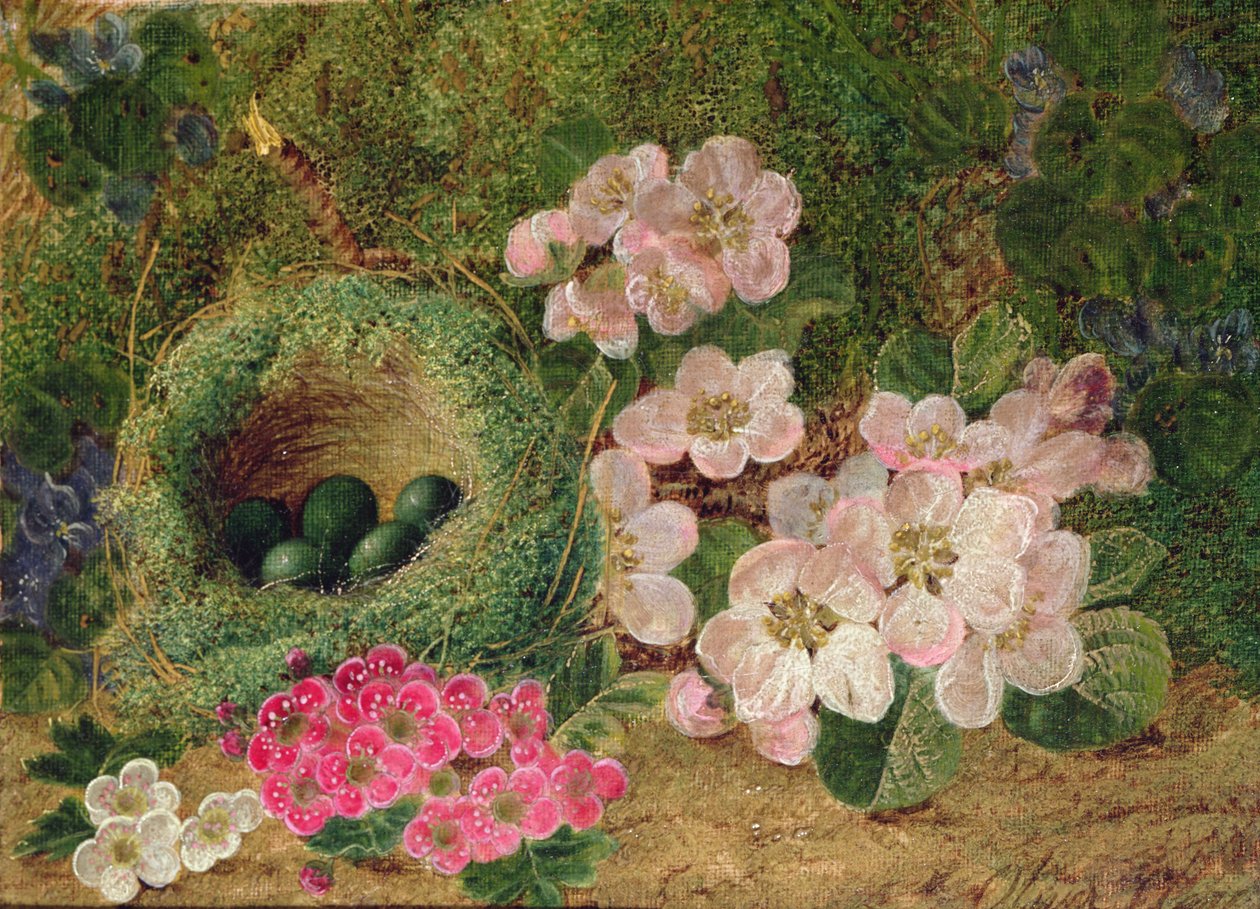 Primaveras junto a un Nido de Pájaros de Oliver Clare