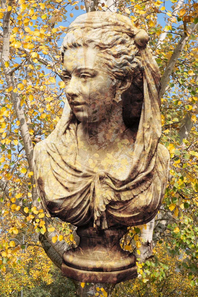 2019 (técnica mixta digital) de Olivia Gozzano