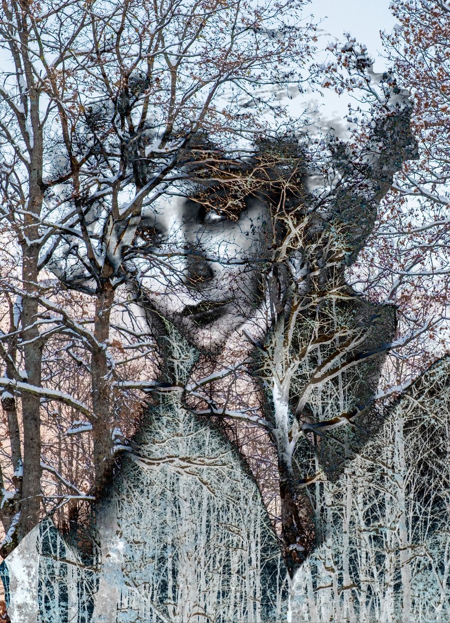 Ritratto invernale, 2021(técnica mixta digital) de Olivia Gozzano