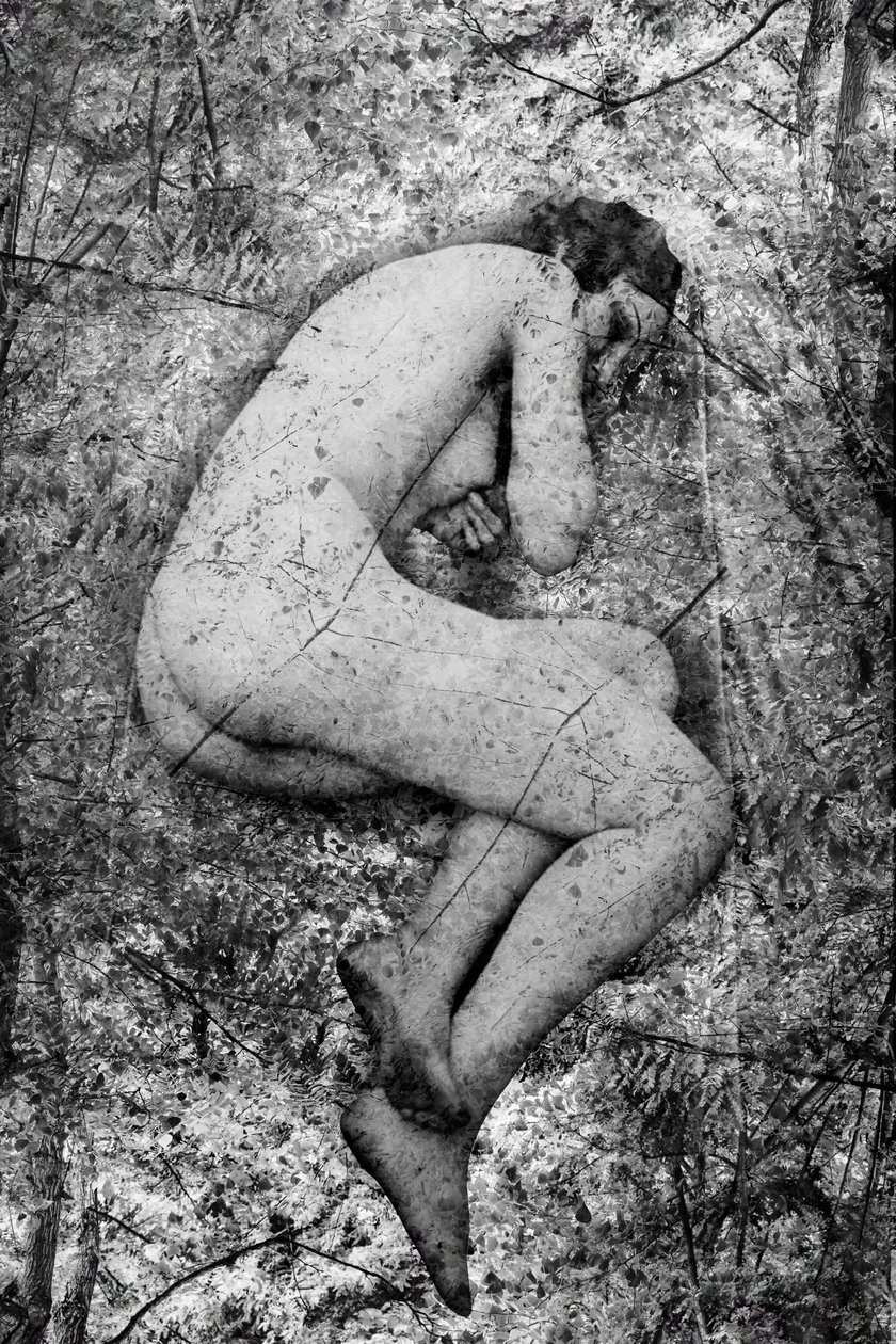 Seme, 2024 (técnica mixta digital) de Olivia Gozzano