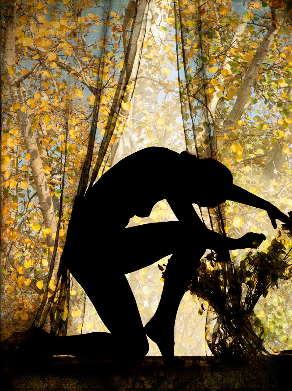  de Olivia Gozzano