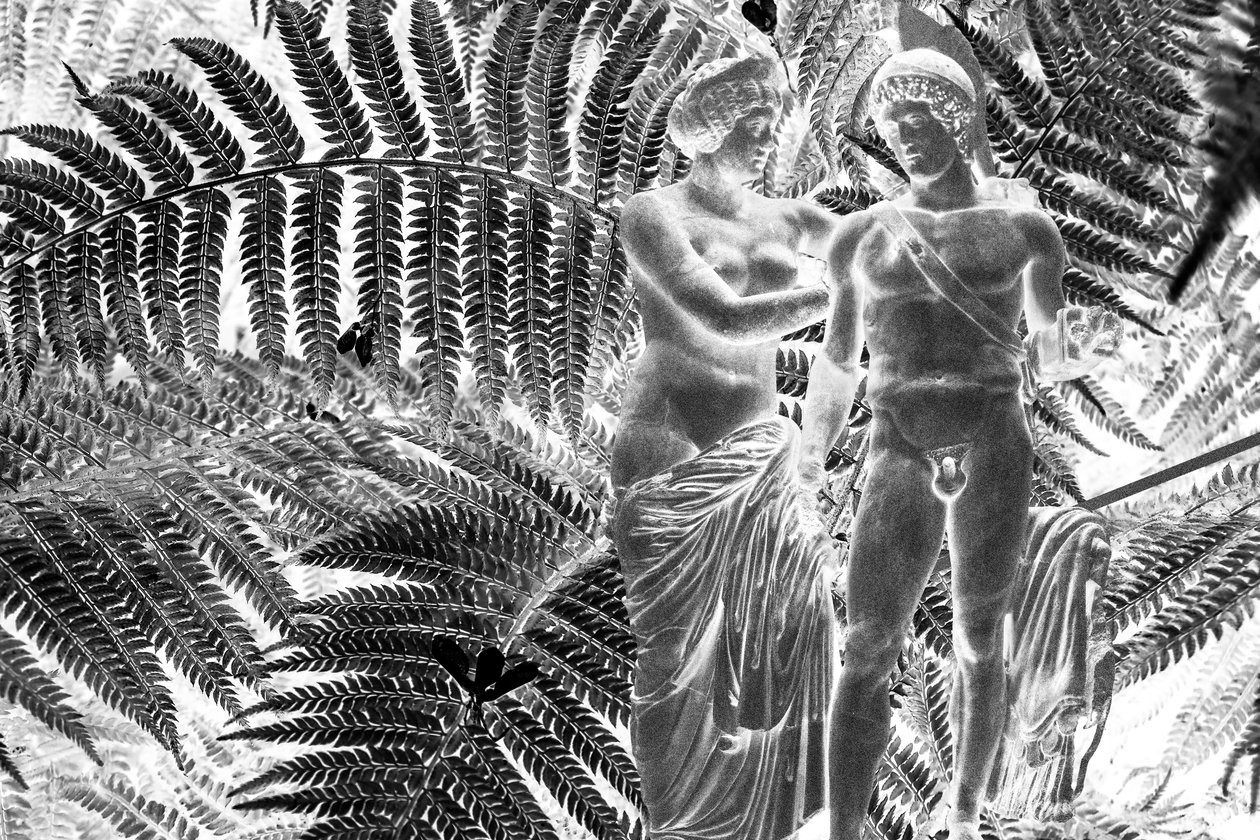 Statue di 2019 (técnica mixta digital) de Olivia Gozzano