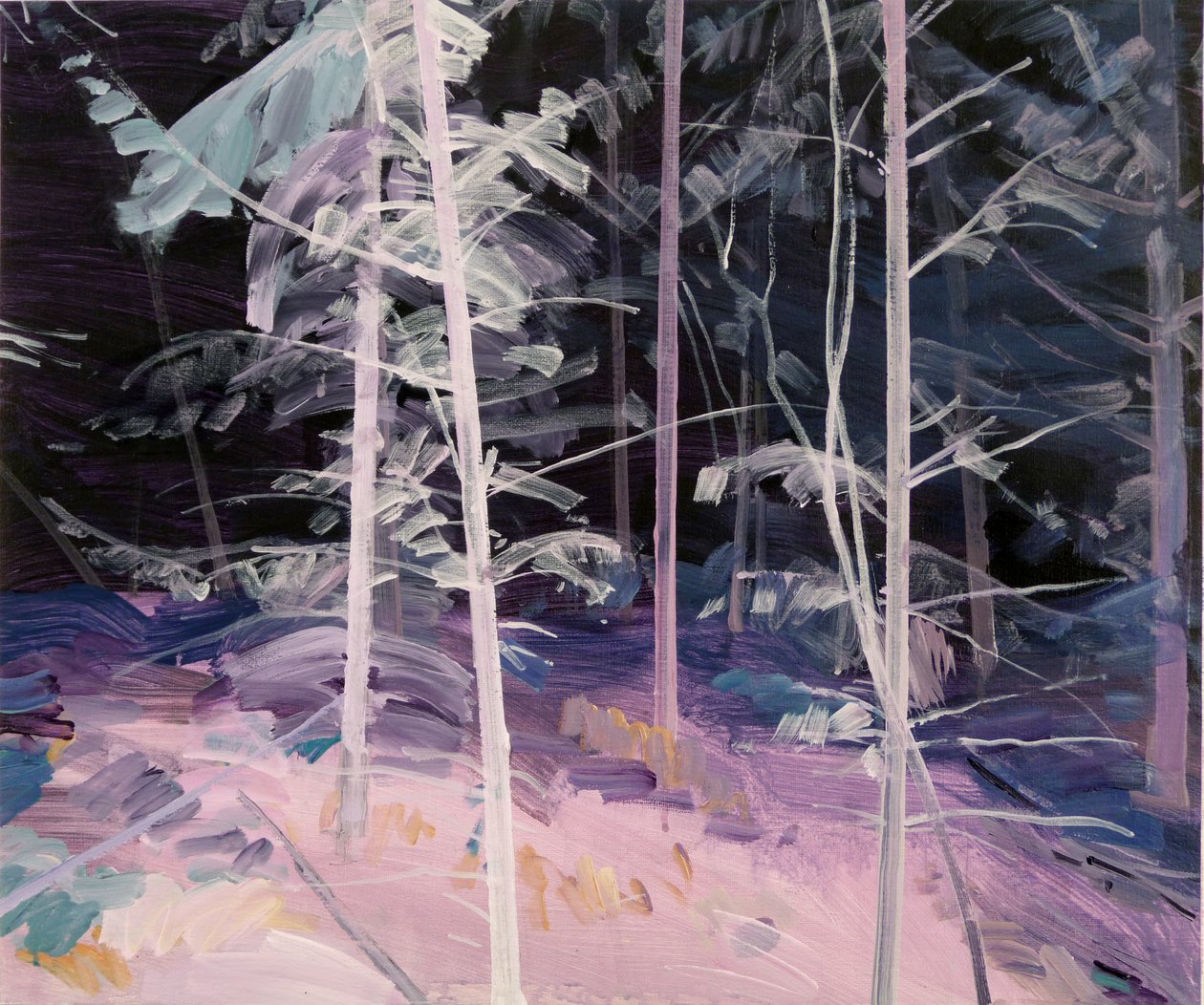 Forêt-noire 1, 2017 de Olivier Morel