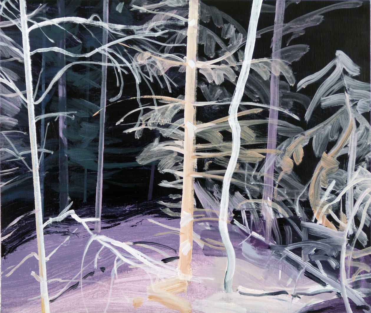 Forêt-noire 3 de Olivier Morel