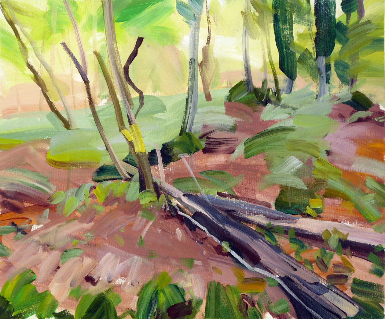 Forêt 24 de Olivier Morel