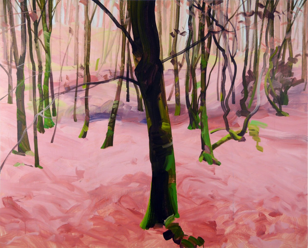 Forêt 29 de Olivier Morel